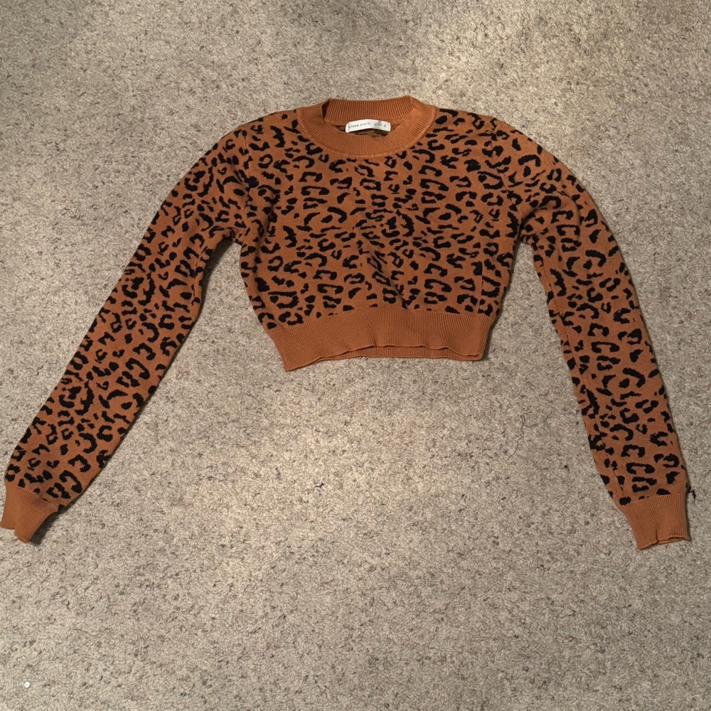 Altar’d State Leopard Print Cropped Sweater